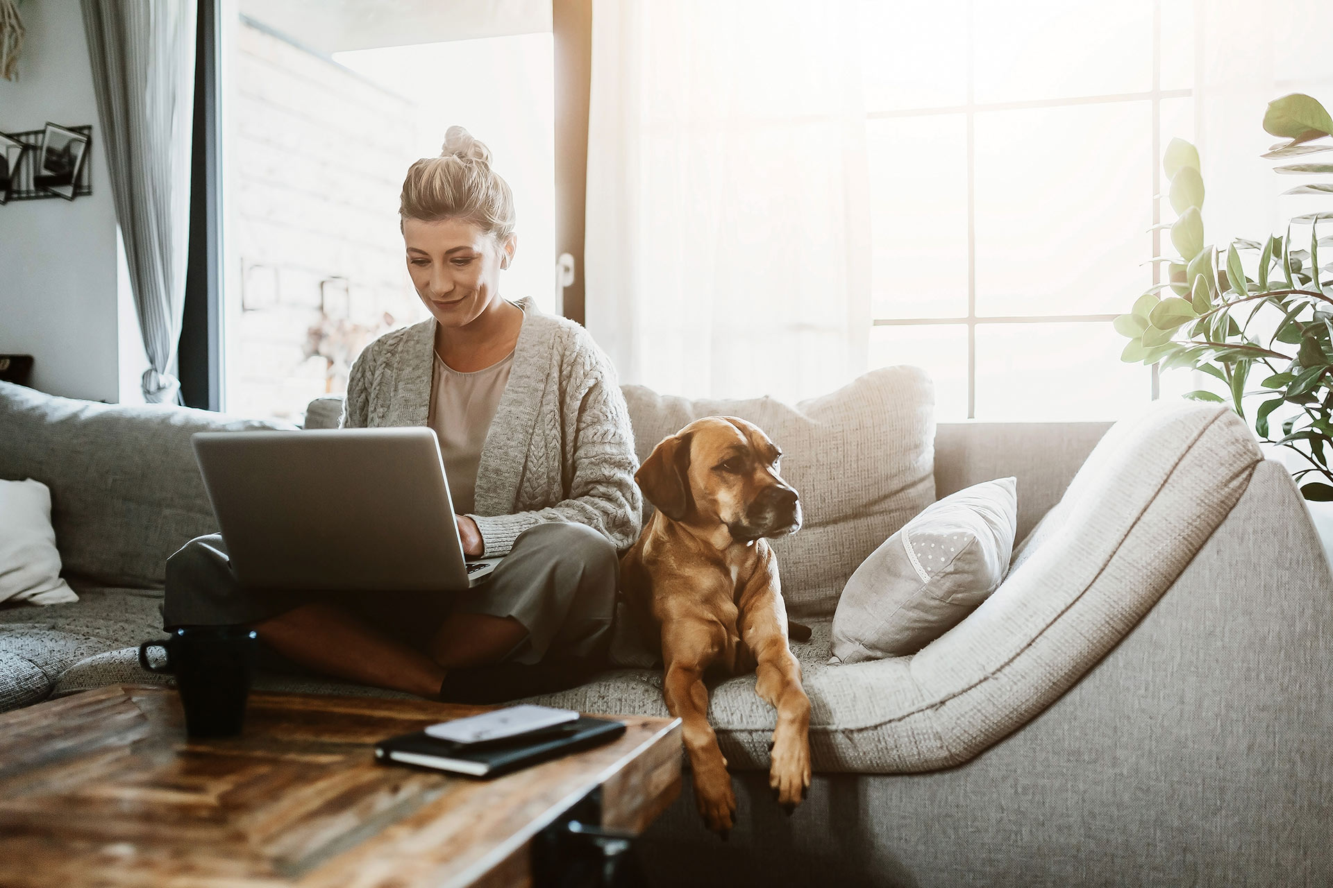 Woman on a laptop working from her couch with her dog